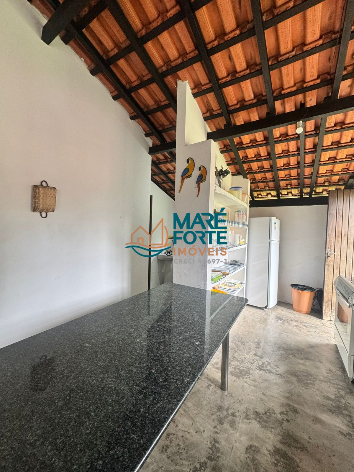 Casa, 5 quartos, 500 m² - Foto 8