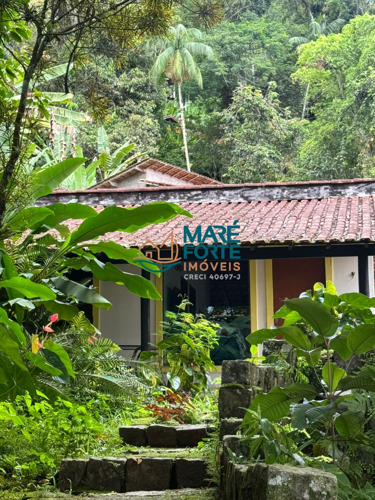 Casa, 5 quartos, 500 m² - Foto 3