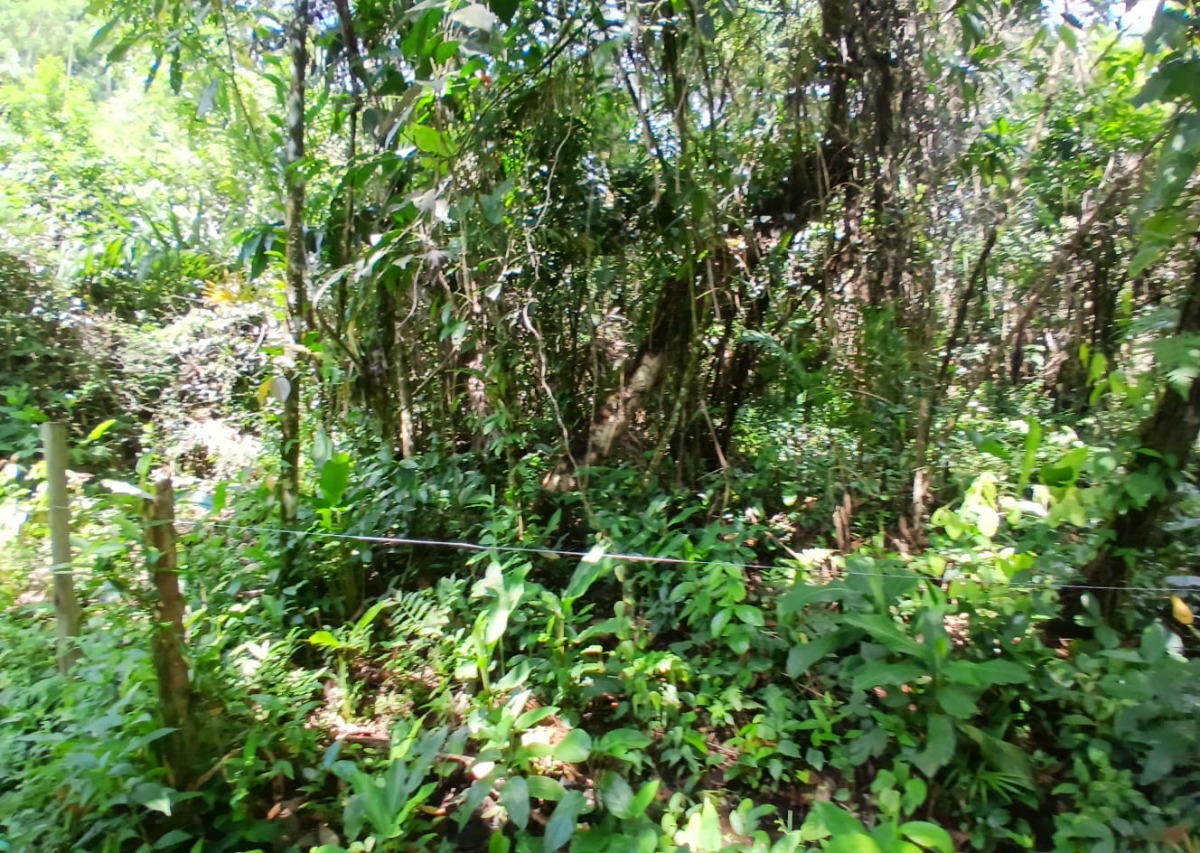 Área a venda a 1 km da Praia do Ubatumirim.