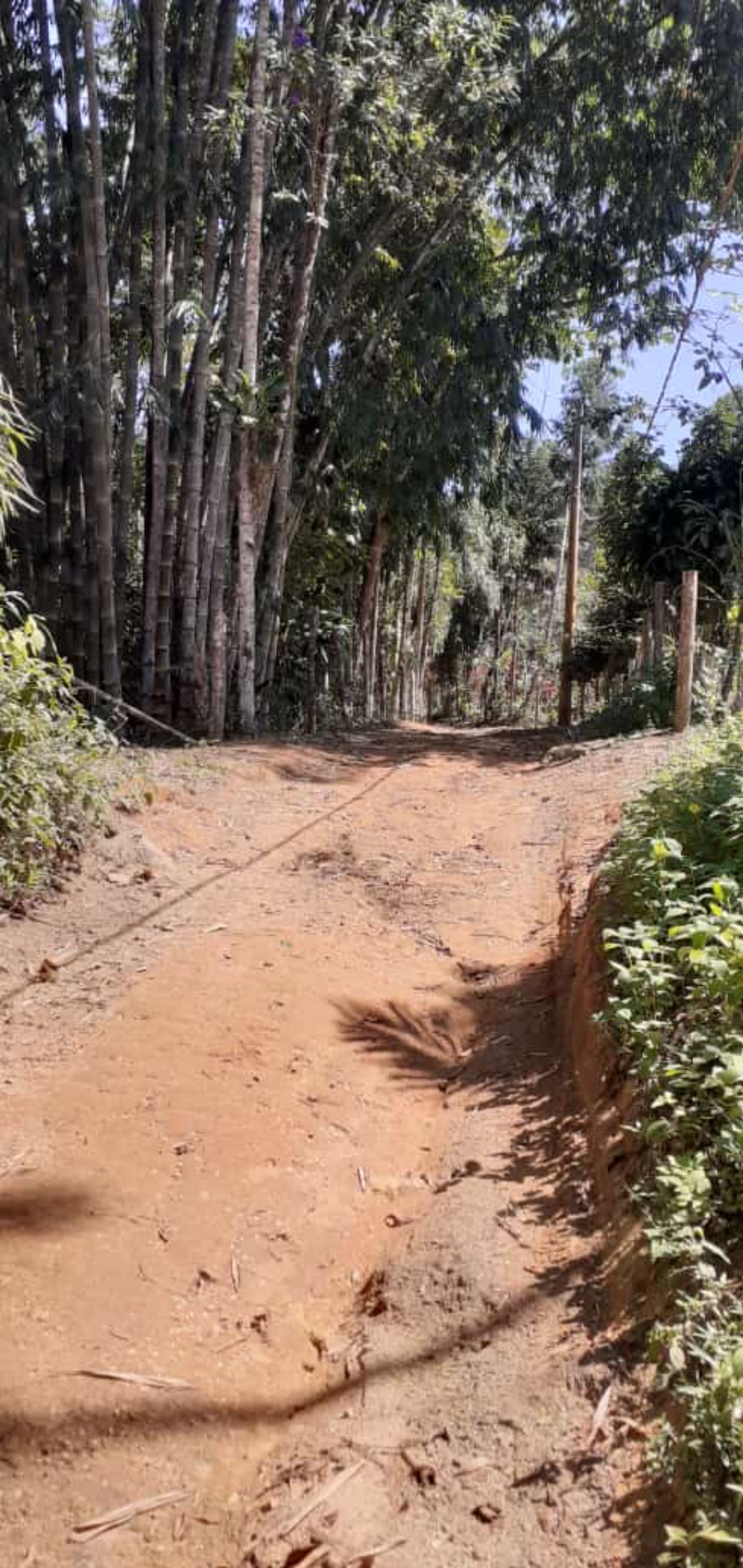 Área a venda no Ubatumirim Sertão .