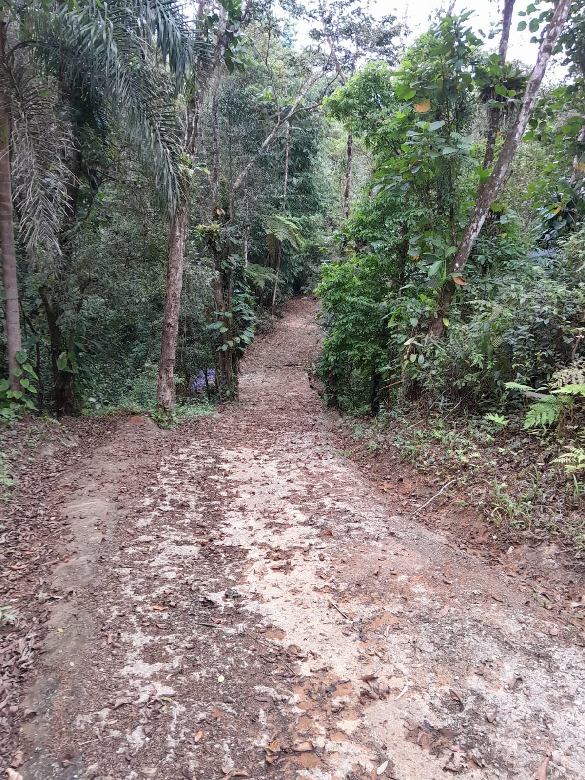 Área a venda no Ubatumirim Sertão .