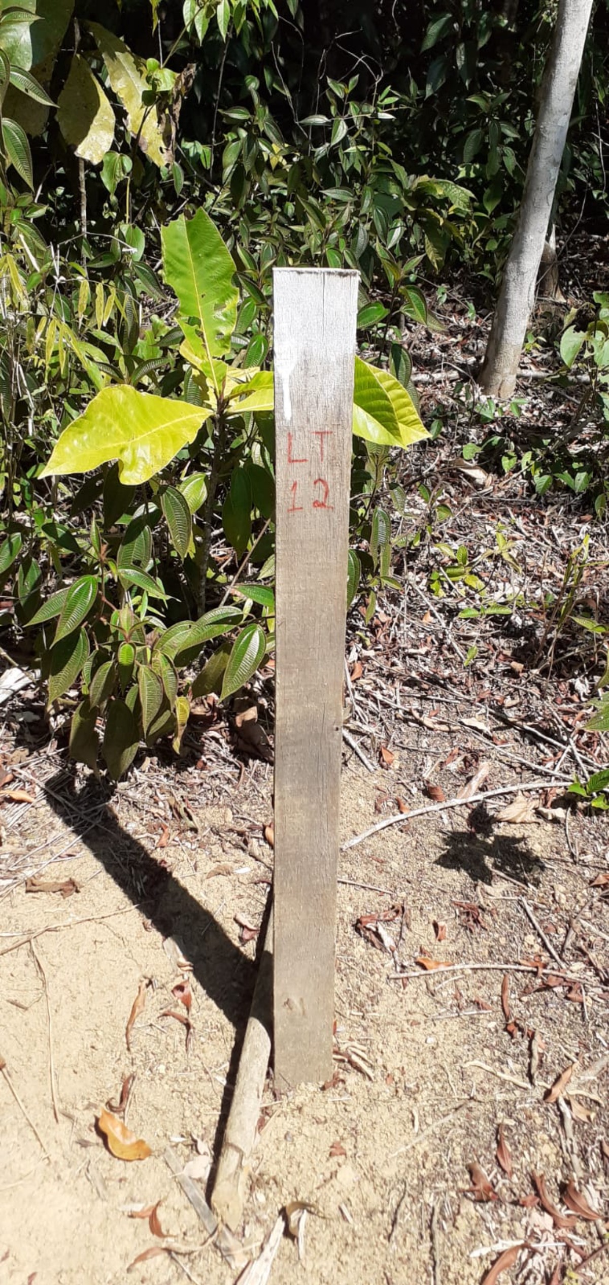 Área a venda no Ubatumirim Sertão .