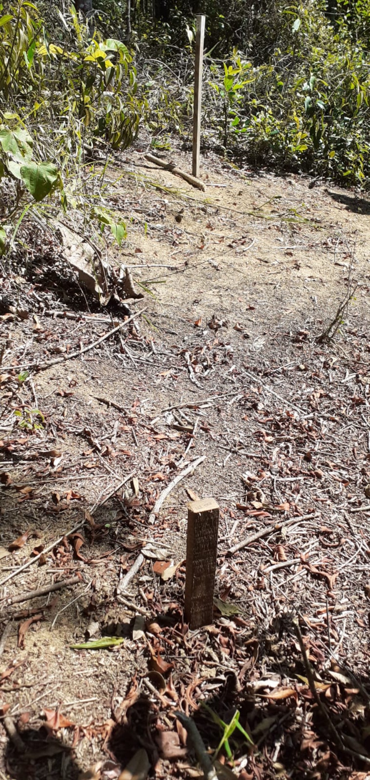 Área a venda no Ubatumirim Sertão .