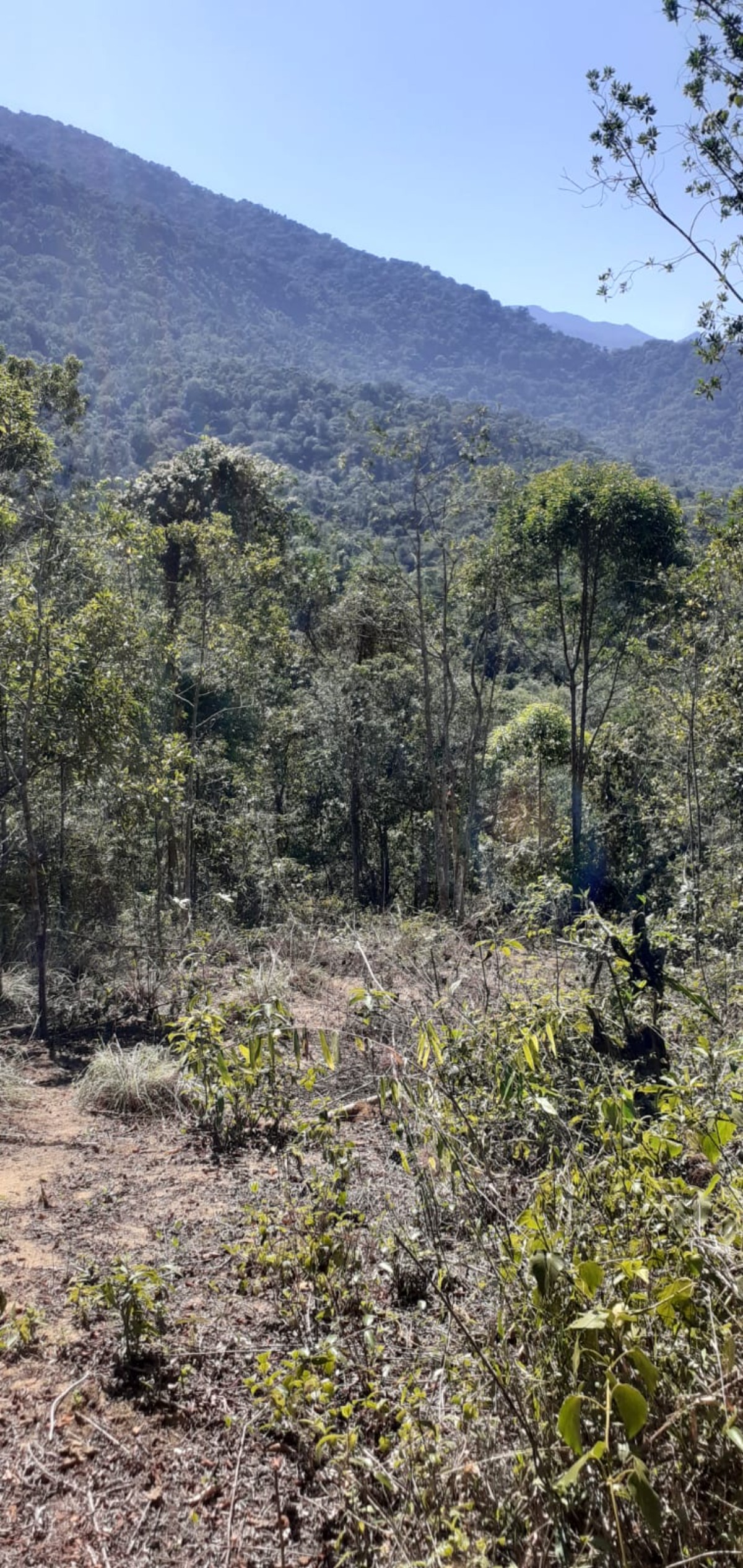 Área a venda no Ubatumirim Sertão .