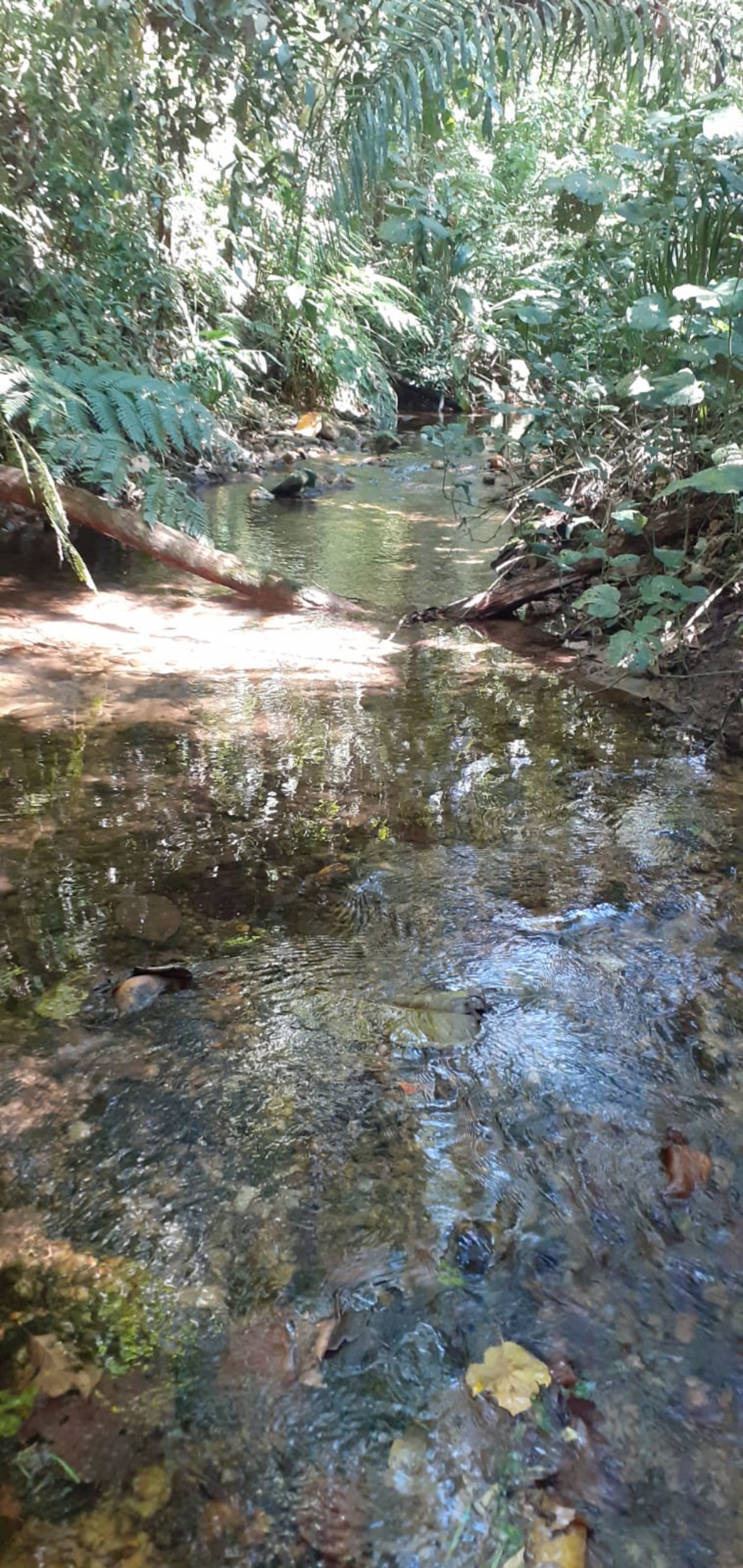 Área a venda no Ubatumirim Sertão .