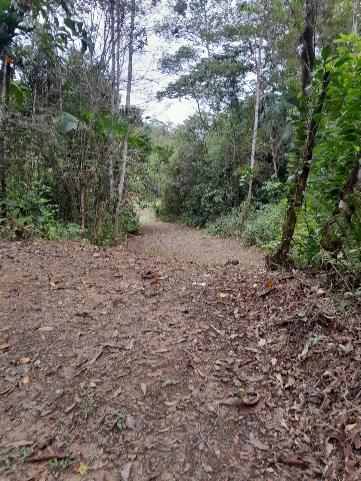 Área a venda no Ubatumirim Sertão .