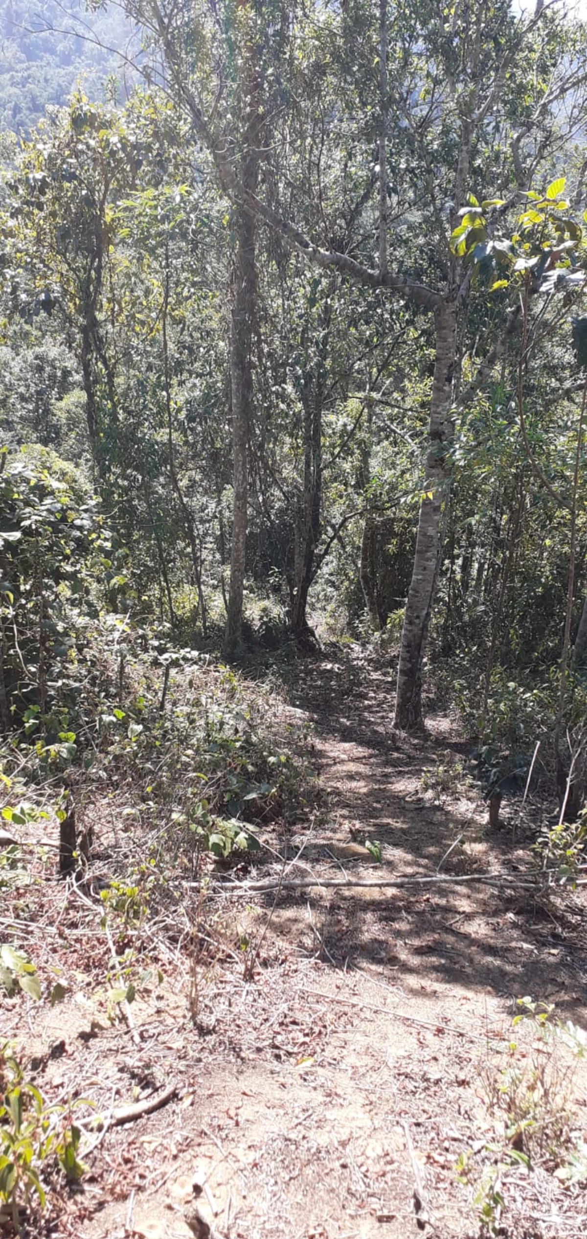 Área a venda no Ubatumirim Sertão .