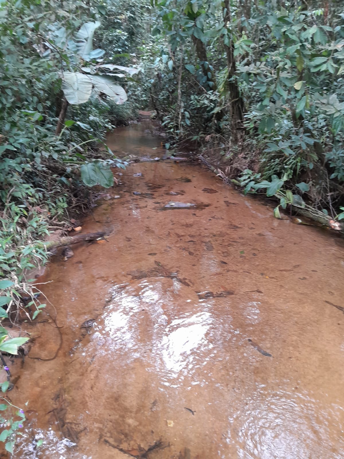 Área a venda no Ubatumirim Sertão .