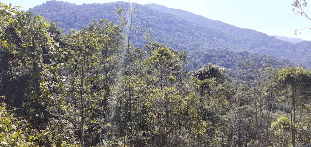 Área a venda no Ubatumirim Sertão .