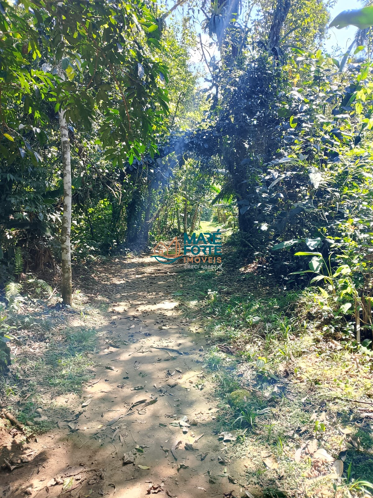 Terreno no condomínio a cerca de 300m da praia (leia o anúncio)