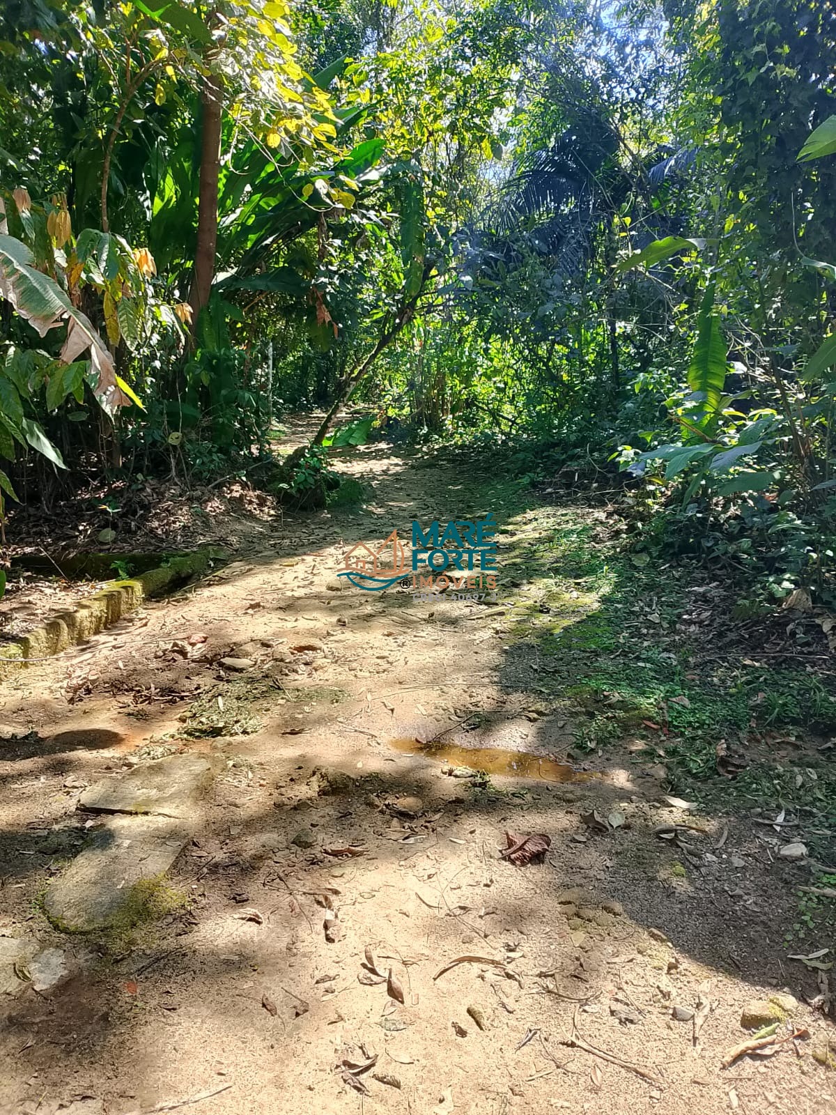 Terreno no condomínio a cerca de 300m da praia (leia o anúncio)