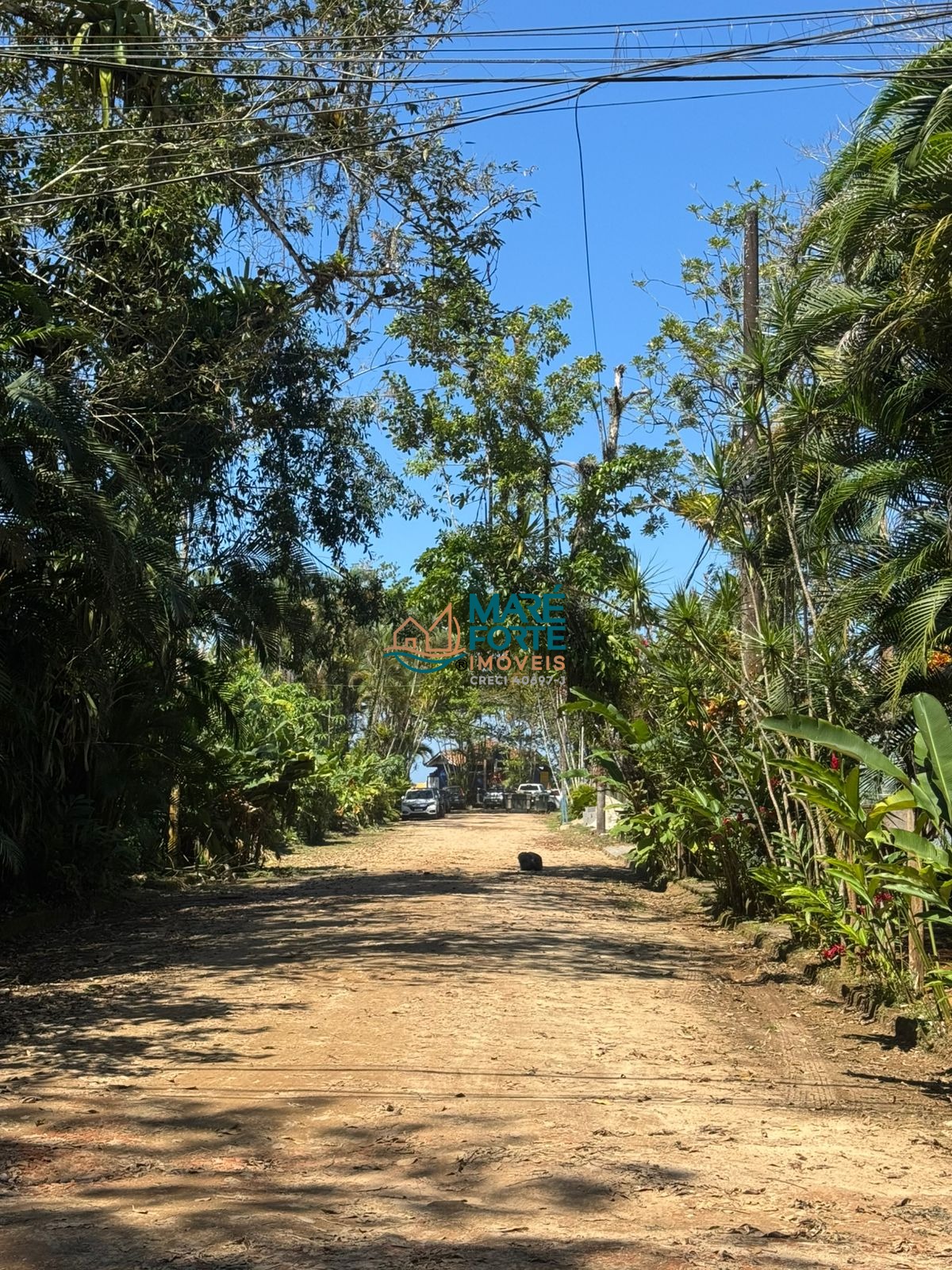 Terreno no condomínio a cerca de 300m da praia (leia o anúncio)