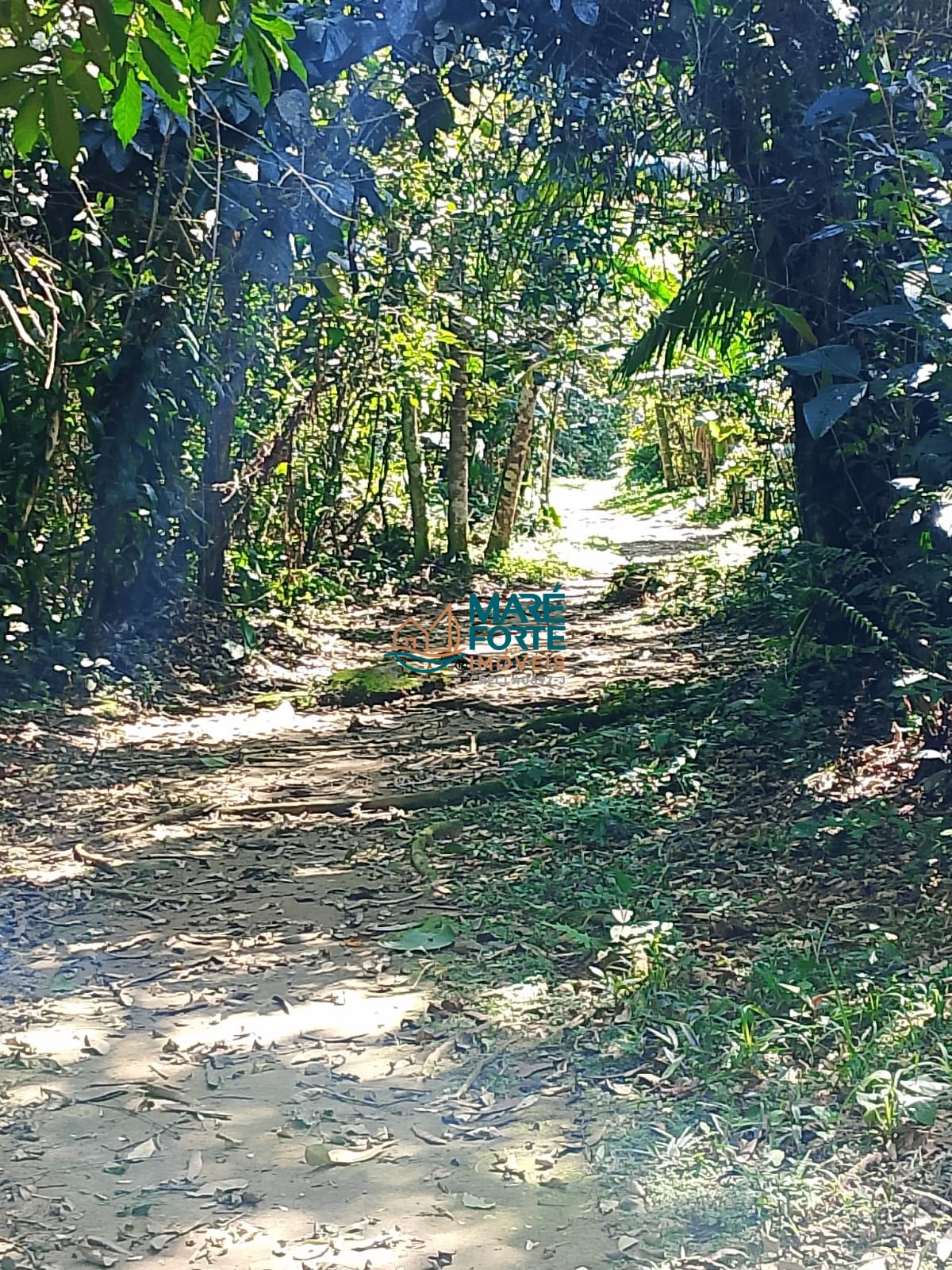 Terreno no condomínio a cerca de 300m da praia (leia o anúncio)