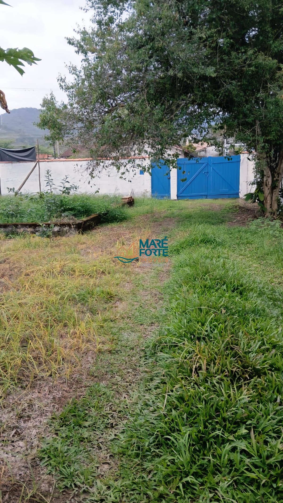 Casa espaçosa no jd Carolina