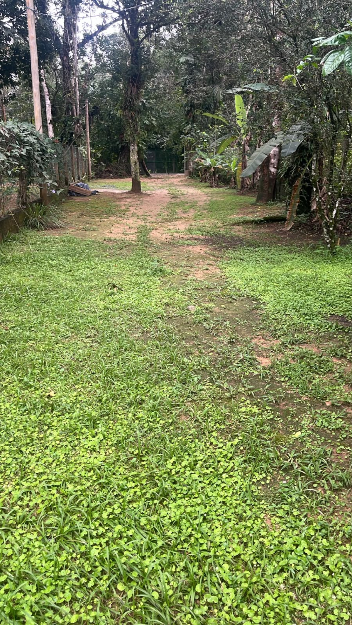 Casa, 1 quarto, 40 m² - Foto 2