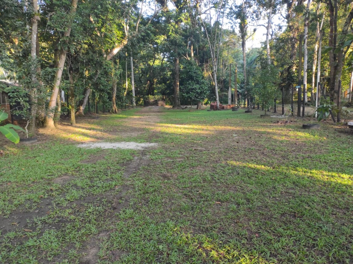 Chácara, 2 quartos, 948 m² - Foto 3